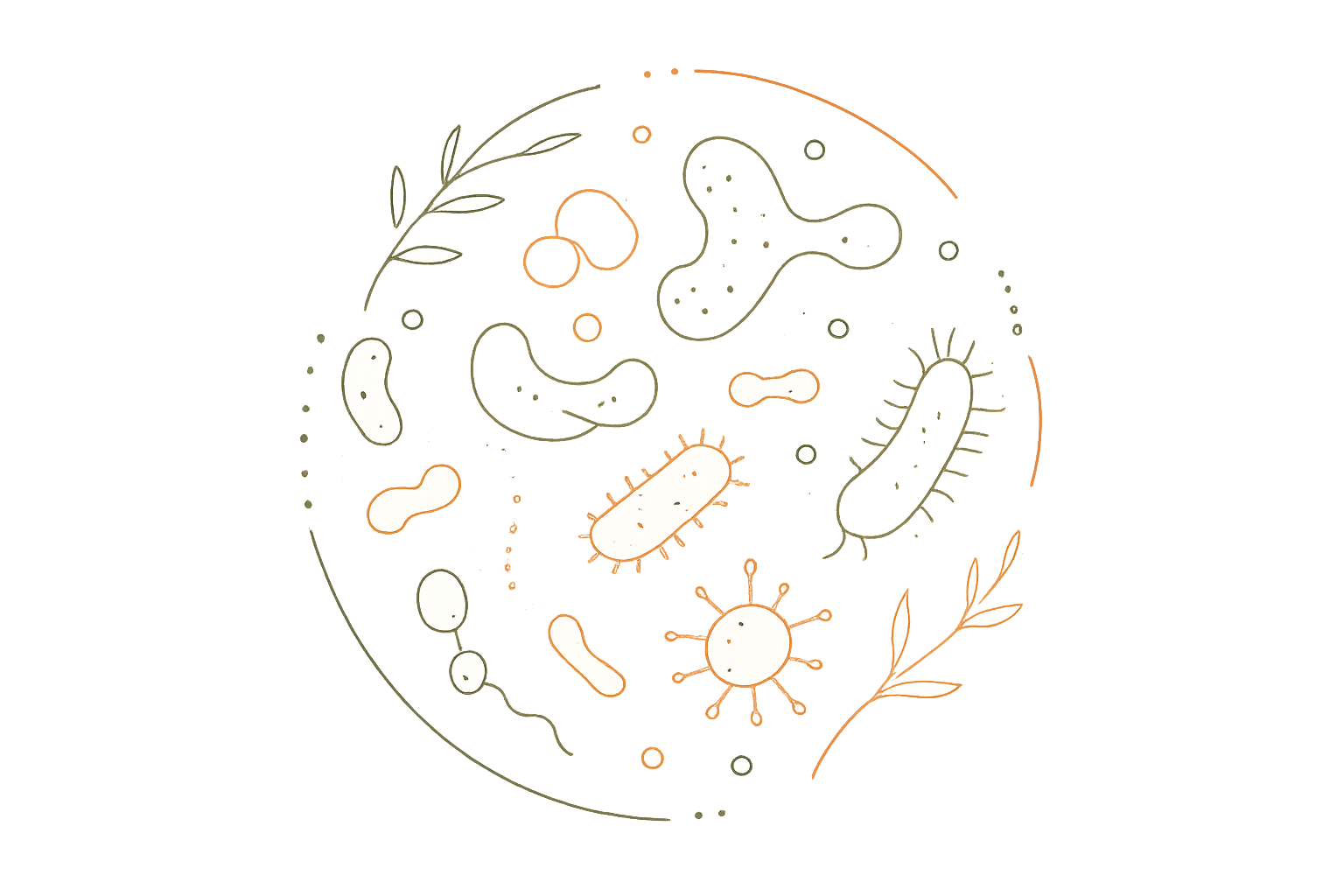 5 Alimentos que destroem sua Microbiota