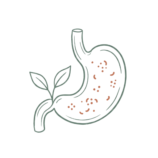 Saúde Intestinal e Microbiota